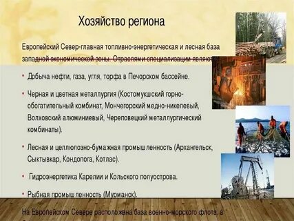 Особенность хозяйства европейского севера