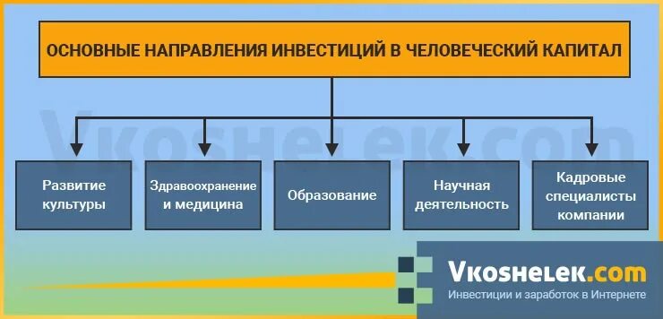 Инвестиции в человеческий капитал. Инвестициями в человеческий капитал организации. Вложения в человеческий капитал. Структура инвестиций в человеческий капитал.