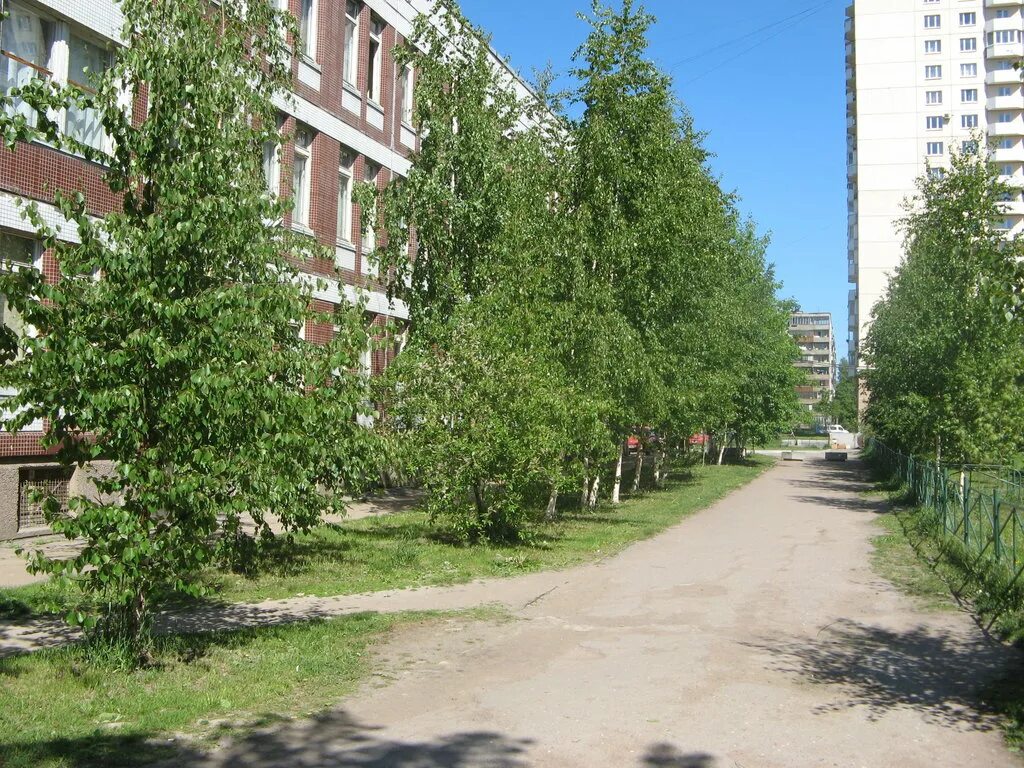 Школа 344 спб. Лицей 344 санкт-петербург. лицей 344 школа.