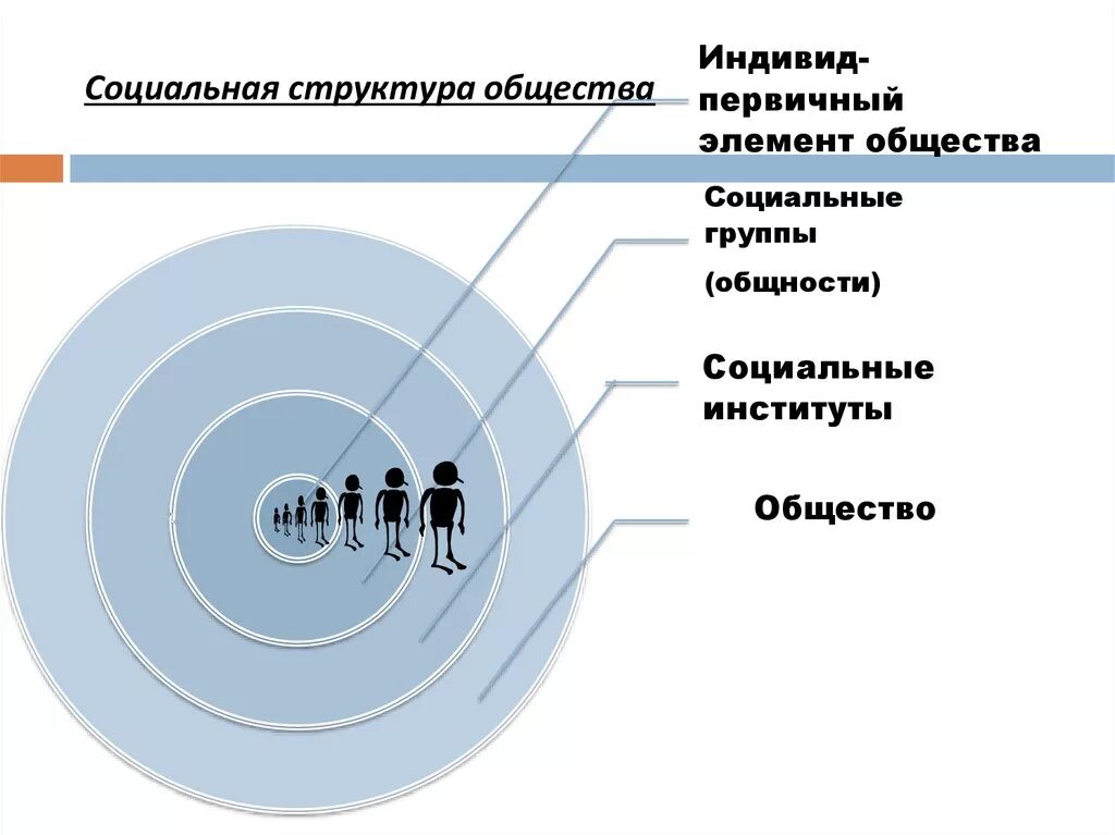 Социальная структура. Структура общества. Социальная структура социального общества. Соц структура общества схема. Каждое общество состоит из конкретных людей