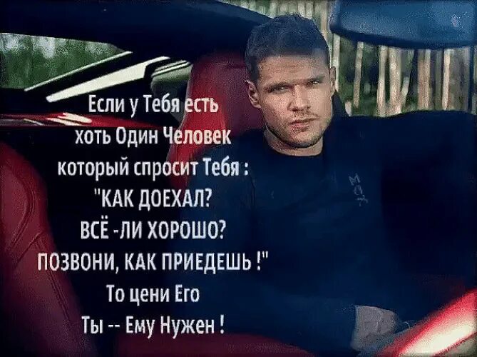 Ёжик в тумане мемы. Есть хоть кто живой. Шутки про ежика в тумане. Перекличка кто живой картинки. Есть хоть кто живой.