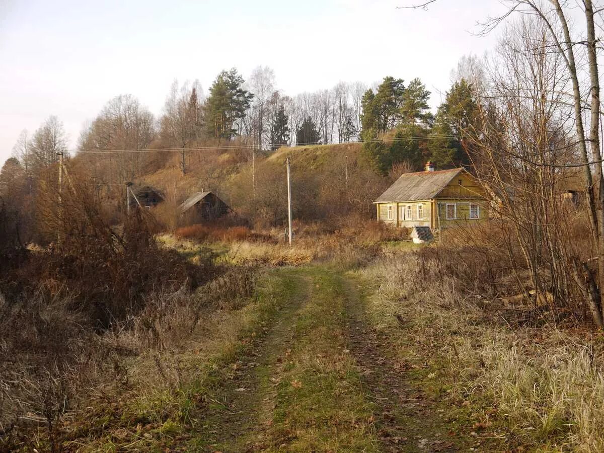 Деревни островского района псковской области