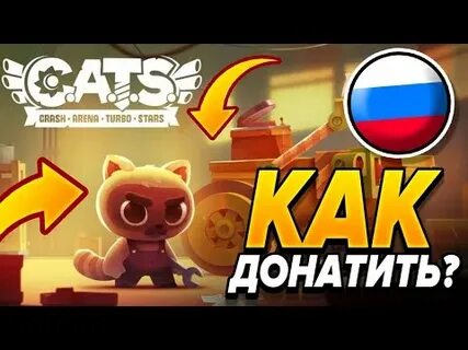 Cats коды видео 7 октября