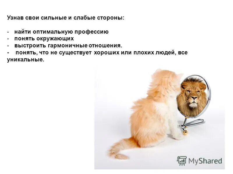 Сильных что в более слабых