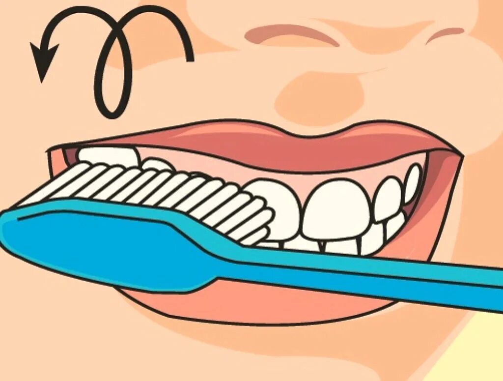 Метод Фонеса чистки зубов. Алгоритм чистки зубов. Чистка зубов рисунок. Зуб иллюстрация. Полезно чистить зубы