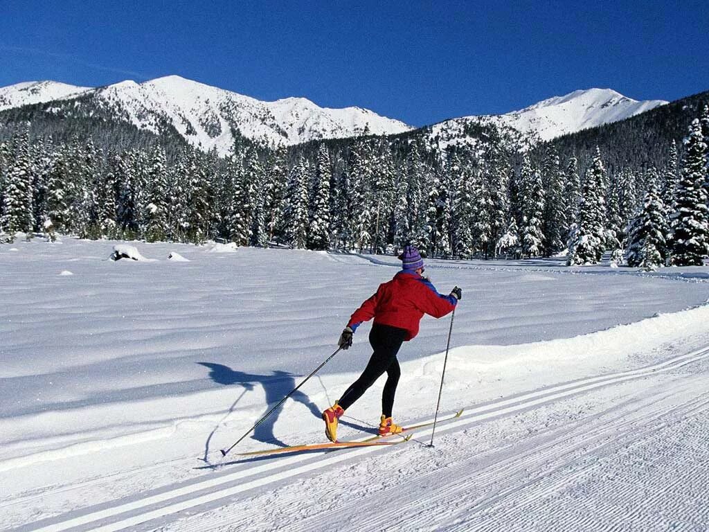 Язык лыжников. Катание на лыжах. Езда на лыжах. На лыжах. Зимние лыжи.