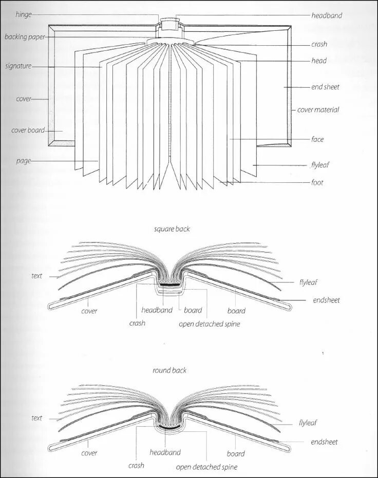 Parts of a book. Размер книги. Parts of the book 12 страница. Книга ручной работы конструкция. Endsheet.