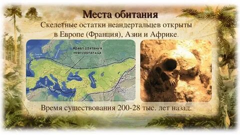 Где живут неандертальцы