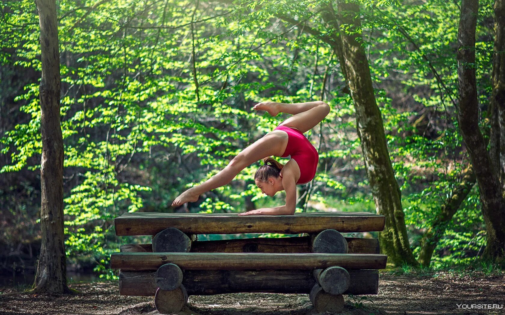 Упражнения на гимнастических снарядах. Фотосессия гимнастки в лесу. Девушка на мостике. Гимнастический мостик упражнение для детей. Спорт гимнастика девочки.