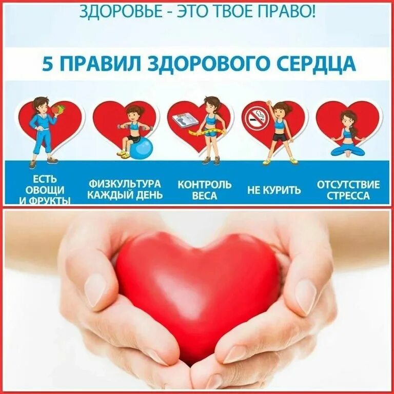 Как продлить жизнь, очистить организм и укрепить иммунитет советы доктора из Г