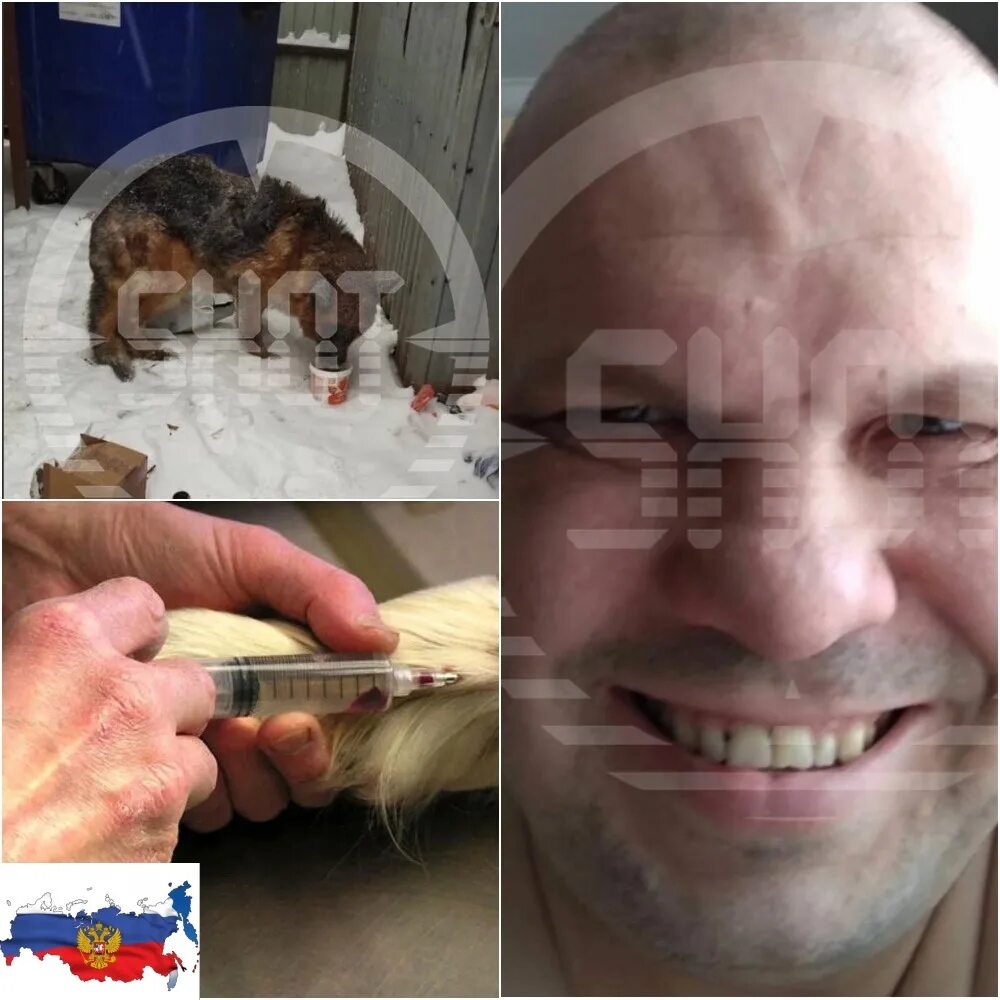 Кто такой живодер. Кто такой живодер