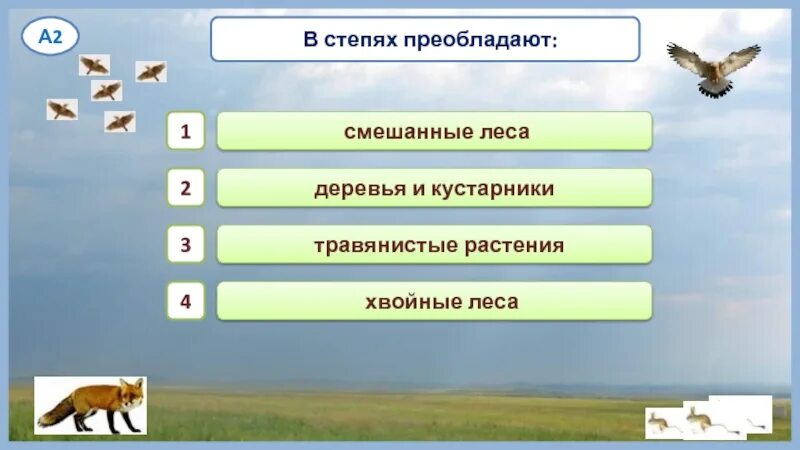 Окружающий мир тест степь. Каковы погодные условия в степях. Почему в степях погибает много птиц. В степях преобладают. Погодные условия зоны степей.