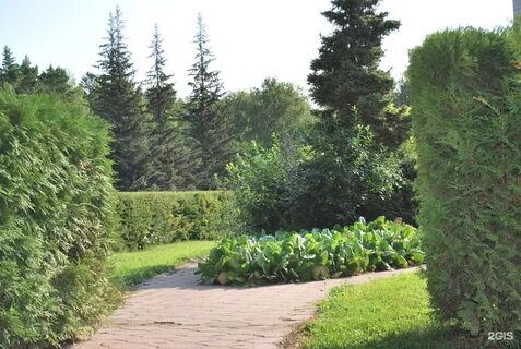 Золотодолинская 101 новосибирск ботанический сад