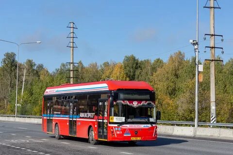 Автобус 585
