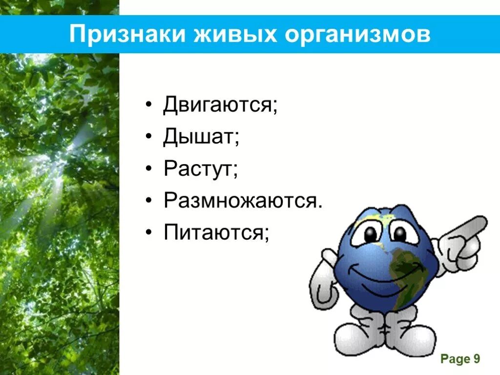 Организм свойства организмов презентация. Признаки живых организмов. Движение признак живого. Дышит признак живого организма. Признаки живого организма растет, дышит, питается.