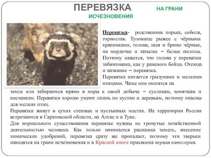 Перевязка занесена в красную книгу или нет