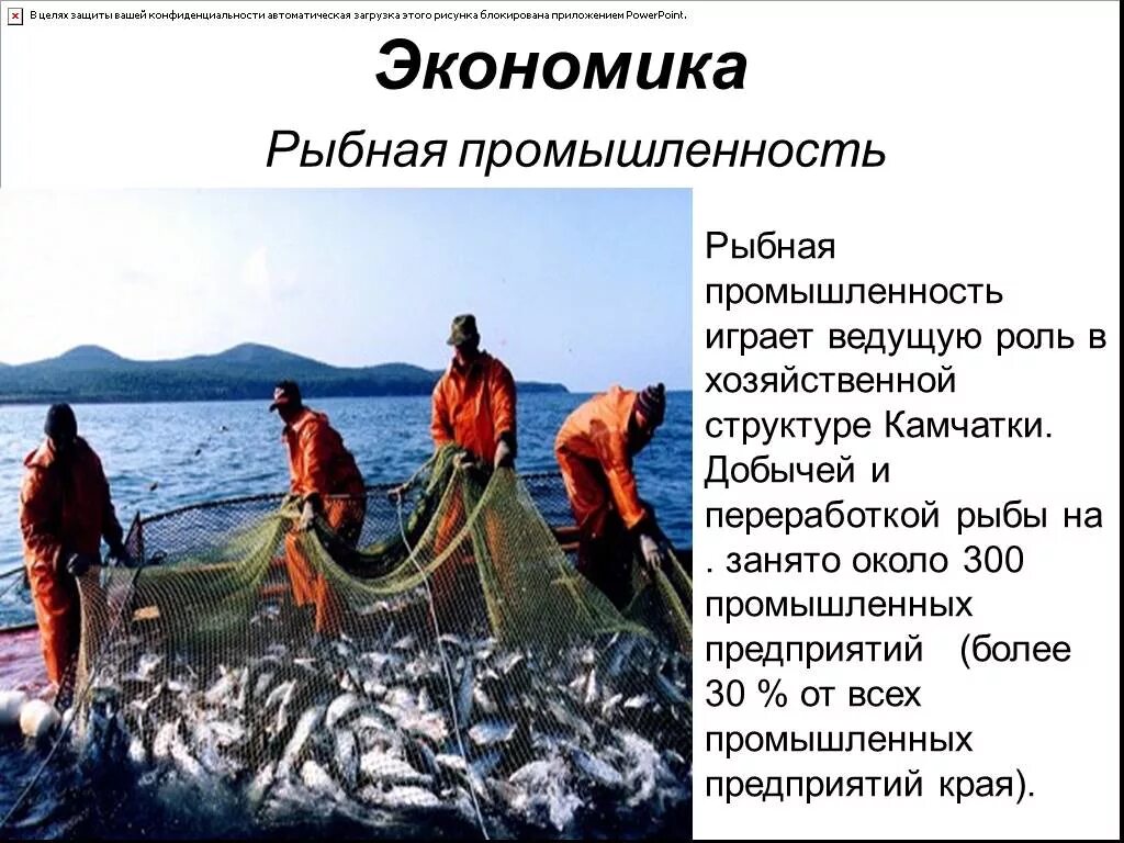 Рыбная промышленность является отраслью специализации. Рыболовство презентация. Рыбная промышленность Камчатка. Отрасли Камчатского края. Отрасли экономики Камчатского края.
