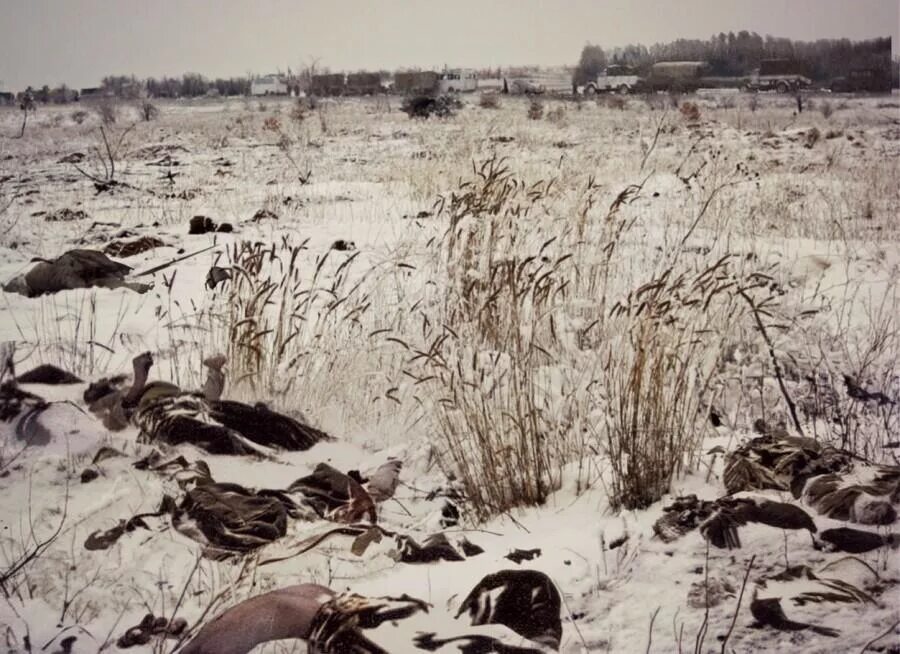 Красивые картинки ноября на войне. Москва в ноябре 1941 альбом. Фото ГАЗ 69 разваленный в снегу.