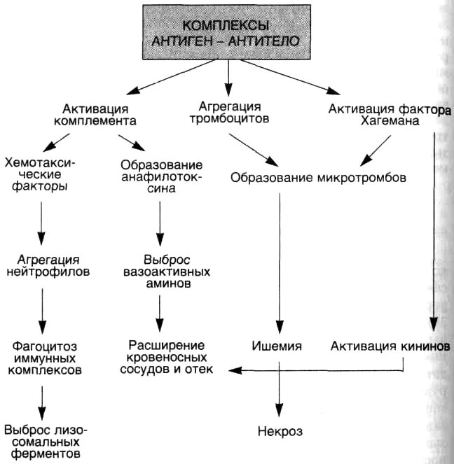 Тип развития заболевания. Патогенез сывороточной болезни схема. Сыворонча болезнь патогенез. Сывороточная болезнь механизм развития. Этиопатогенез сывороточной болезни.