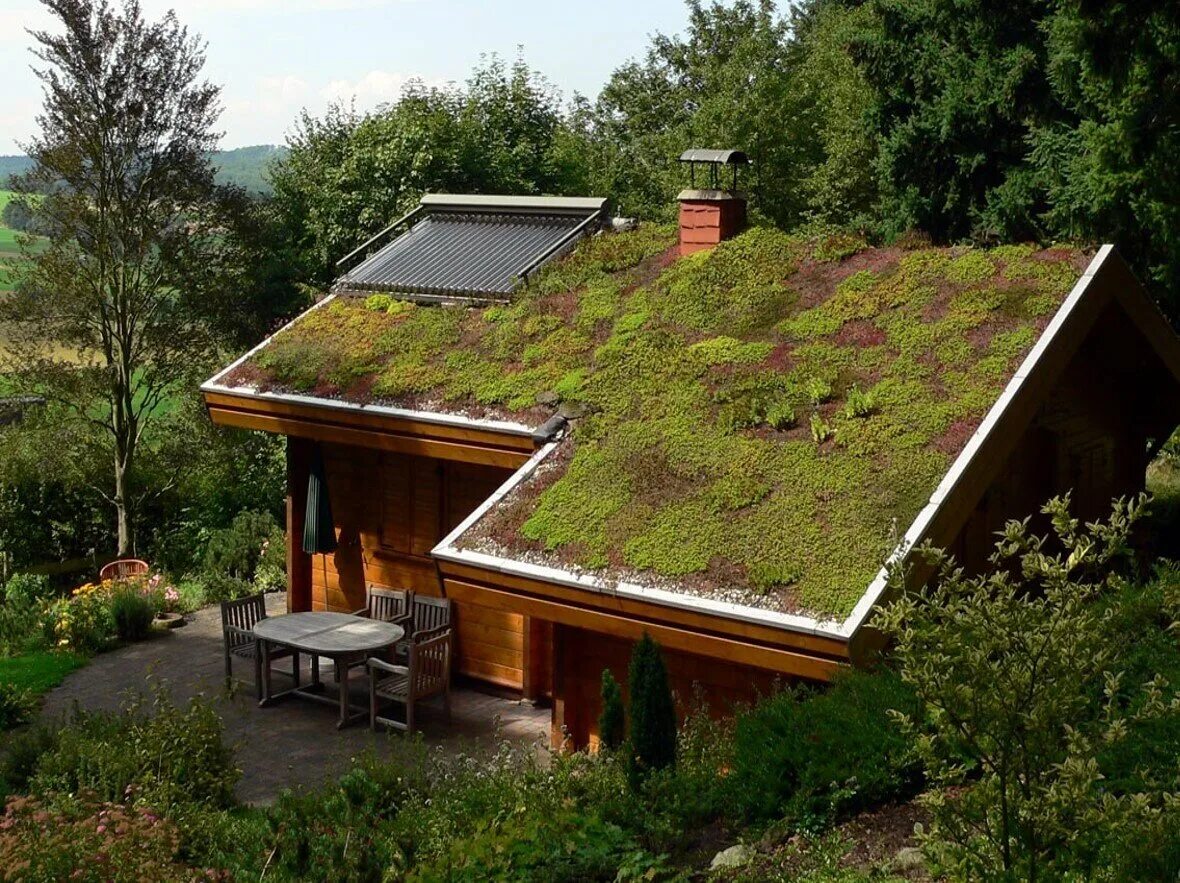 Эксплуатируемая плоская кровля Green Roof. Экстенсивная зеленая кровля. Зеленая кровля экстенсивная зеленая кровля. Технология зеленой скатной кровли.