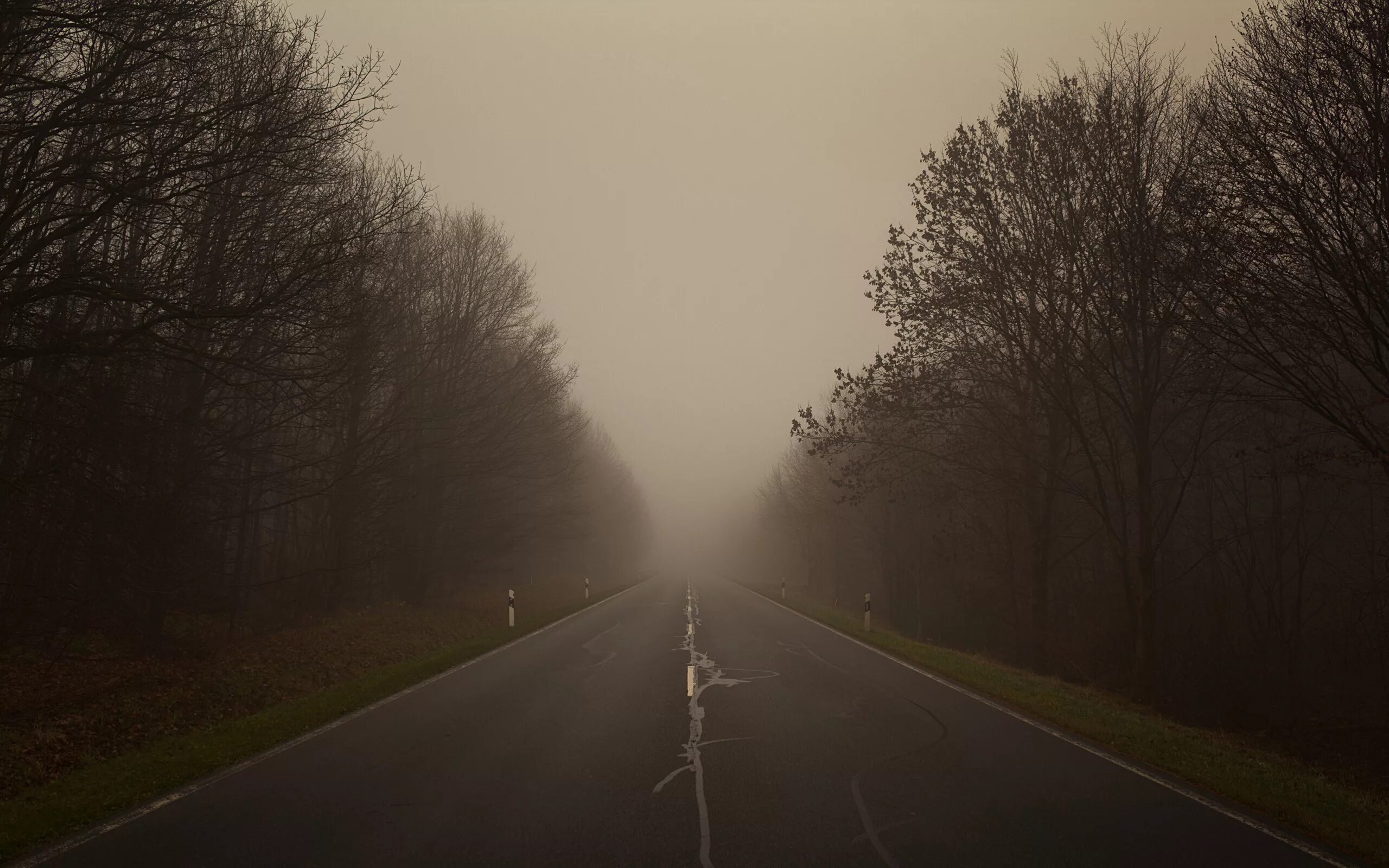 Обои плохого качества. Дорога в тумане. Темная дорога. Темная дорога в тумане. Грустный фон.