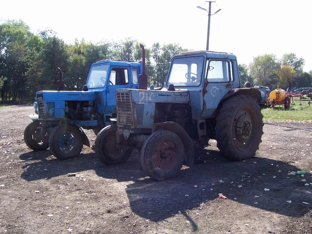 Авито купить трактор волгоградская область. МТЗ-80 трактор. МТЗ 80 1990. МТЗ-80 трактор болотоход. МТЗ 80 металлолом.