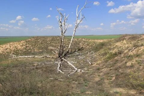 Погода киреево ольховского