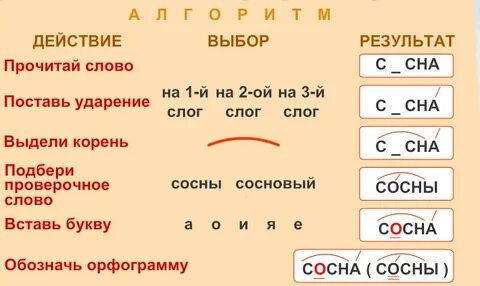 Стоял корень и проверочное