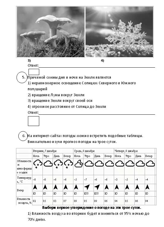 Вариант задание окружающий мир впр