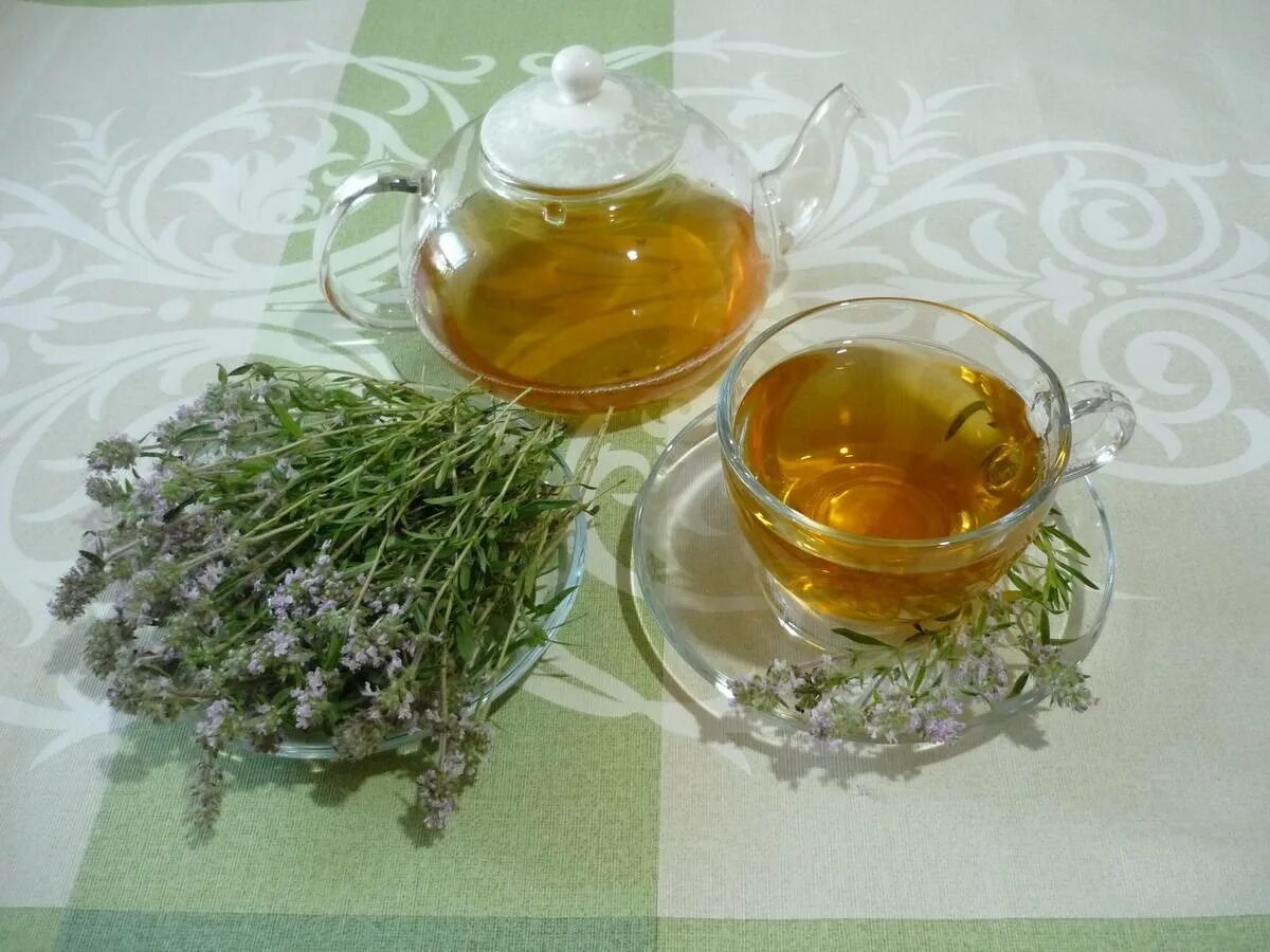 Тимьян чабрец чай. Отвар из трав. Чай с чабрецом. Как заваривать и пить травы