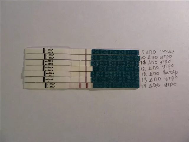 Тест на беременность через дней после овуляции. Две недели после овуляции. 14 дпо тест. 14 дпо тест на беременность. Тест на беременность на 14 день после овуляции.