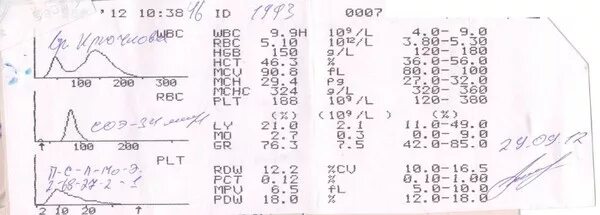 WBC В анализе крови график. График RBC В анализе крови расшифровка. Гистограммы в анализе крови. График PLT В анализе крови.