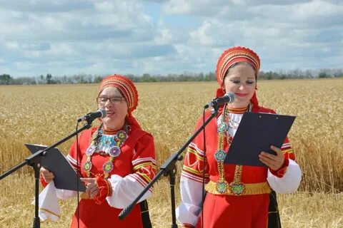 Культурная стала