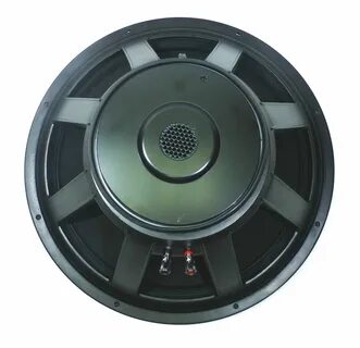 Voice 18