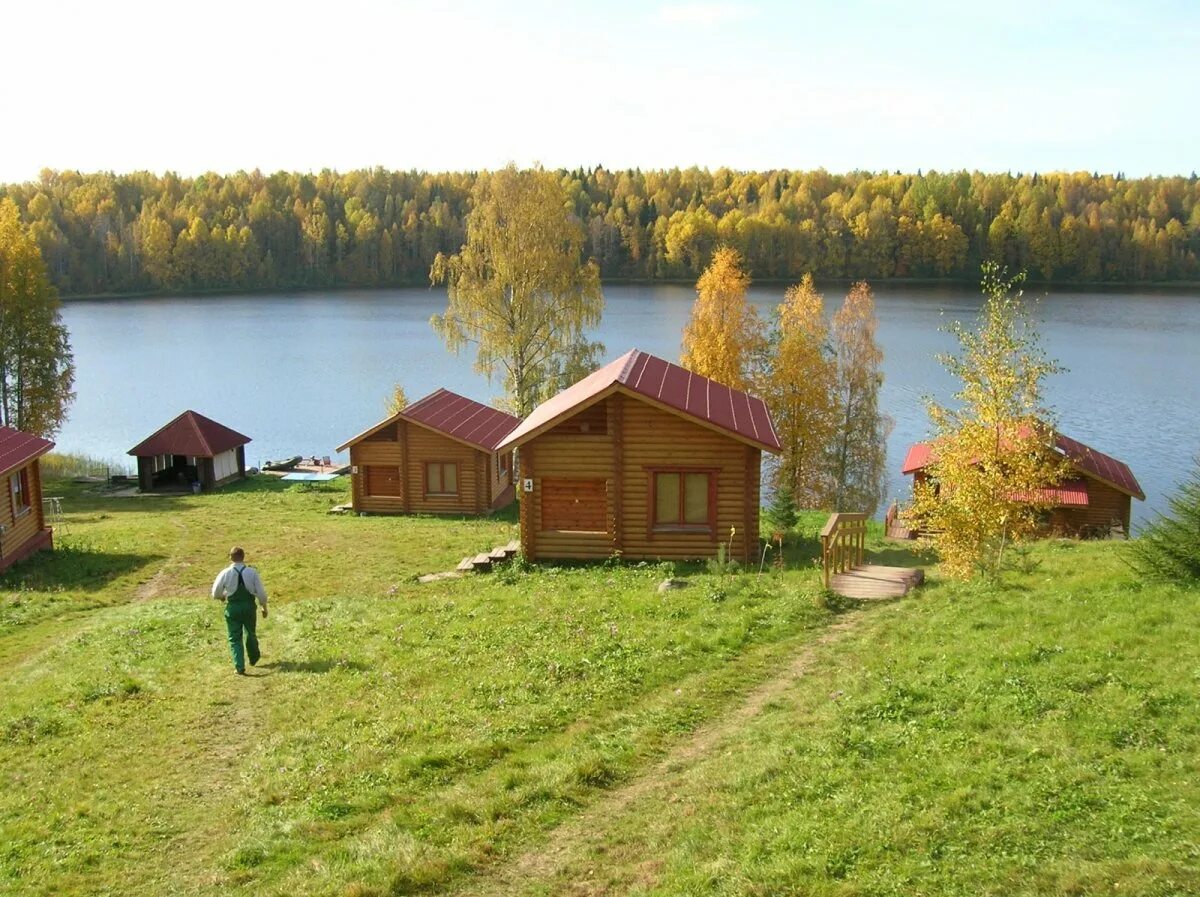 Турбаза Лесное озеро Карелия. Карелия турбазы на озере. Карелия турбаза Озерная. База лесного озера лесного озера Удмуртской турбаза. Рыбалка в на берегу озера недорого