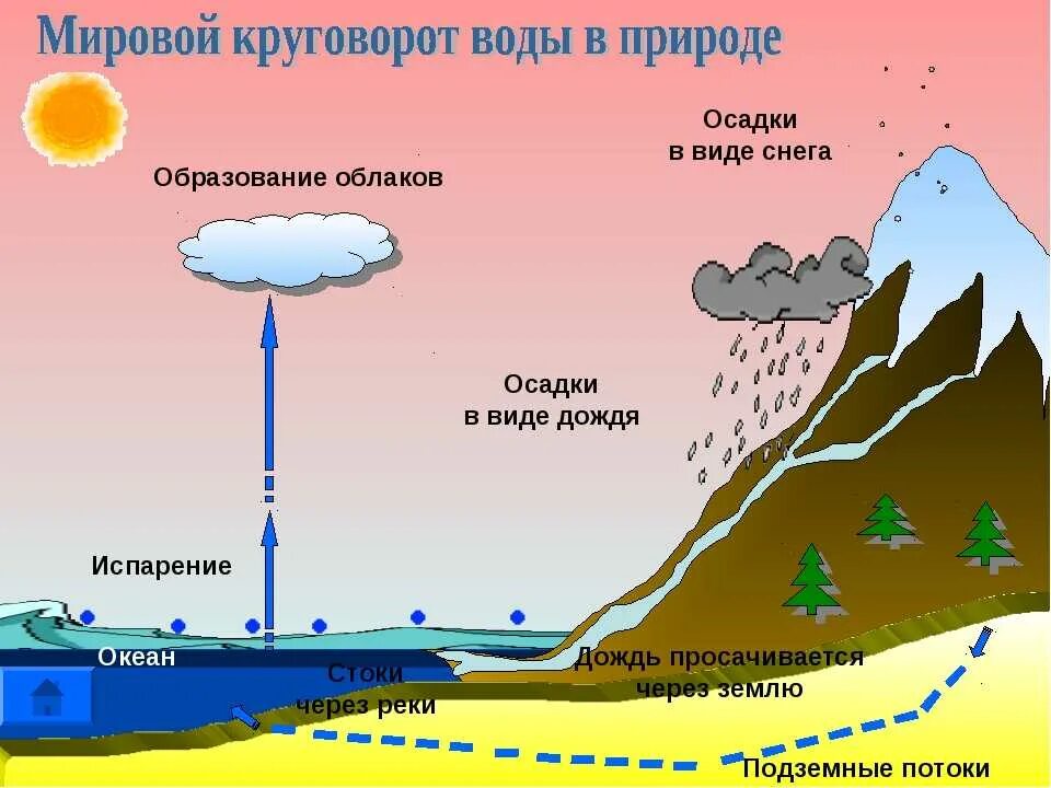 какая вода жестче речная или дождевая