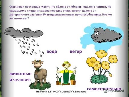 И на старуху поговорка гласит