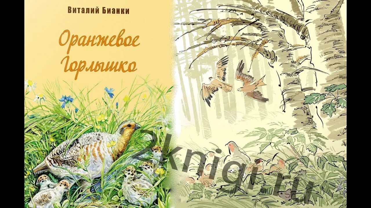 Бианки в. "оранжевое горлышко". Бианки оранжевое горлышко книга. В в бианки оранжевое горлышко мурзук