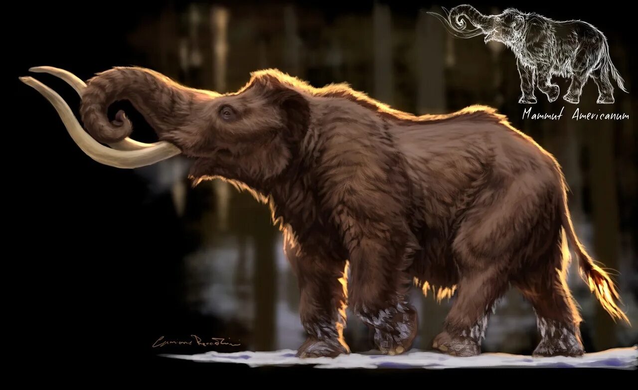 Вымерший вид 2022. Мегатерия дарвин. Вымерший вид 2022. Шерстистый мамонт вымершие животные. Кайнозойская эра зденек буриан.