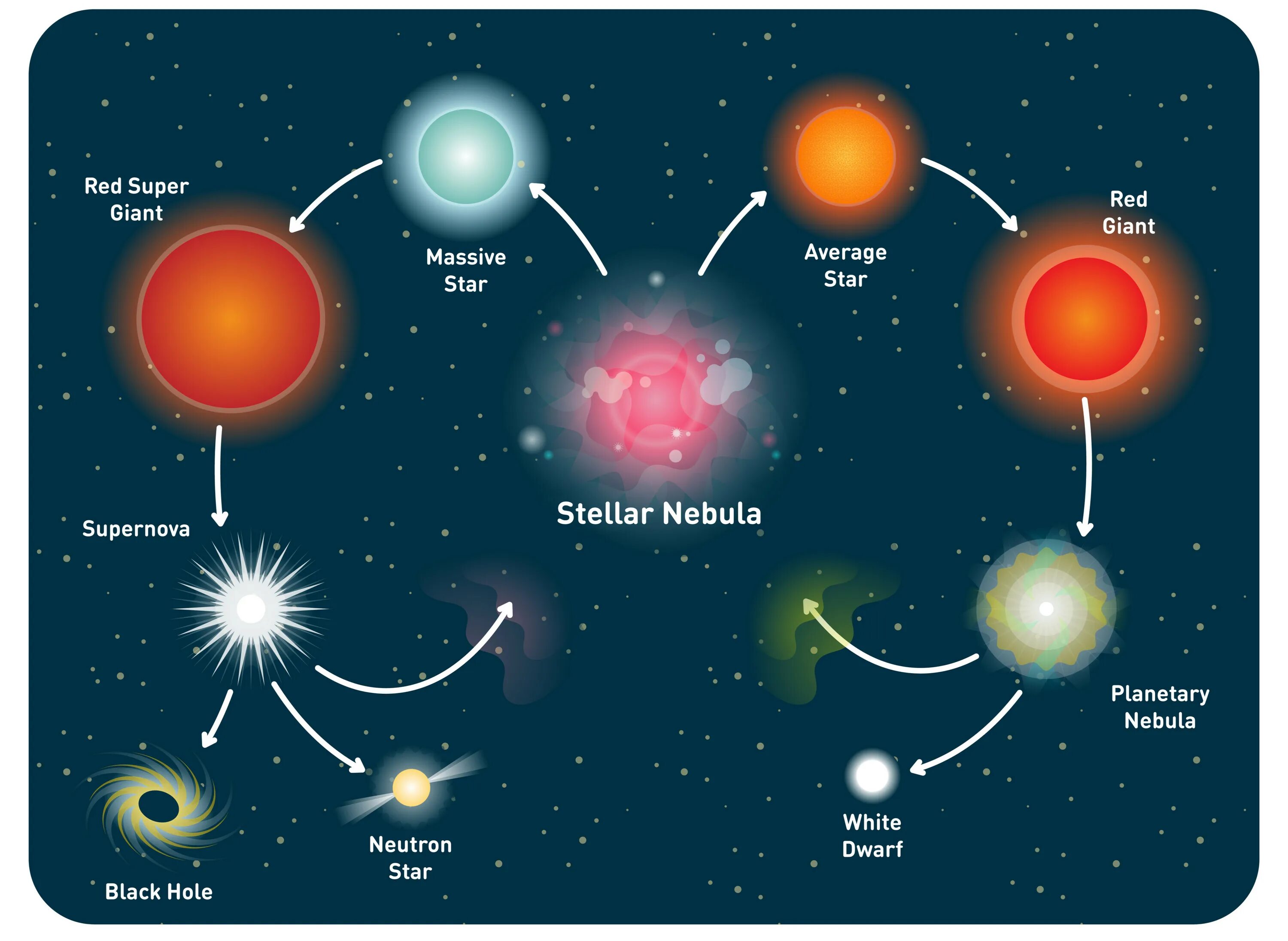 Цикл жизни звезд. Эволюция звезд. Жизненный цикл звезды. Star Life Cycle.