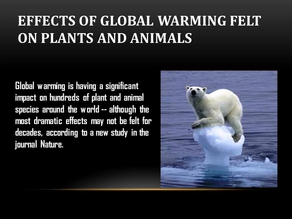 Глобальное потепление слоган. Глобальное потепление презентация на английском. What Effects of Global warming are. Effects of global warming