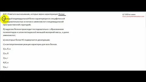Тесты белки химия
