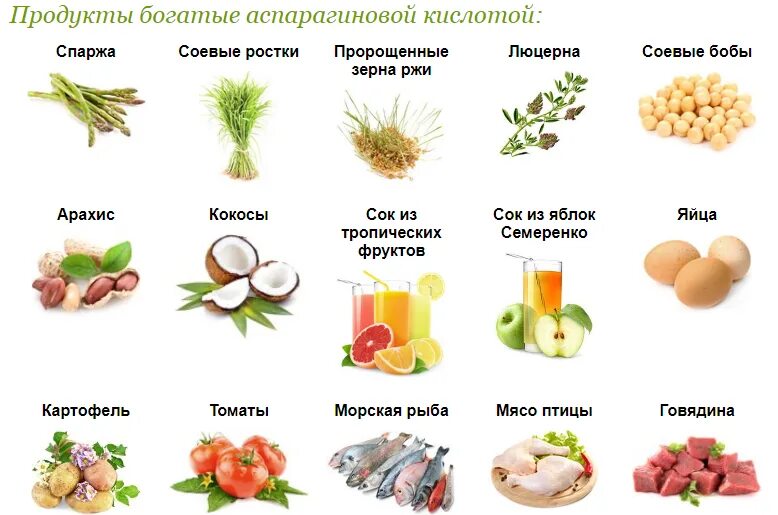 Аспарагиновая кислота в каких продуктах содержится. Аспарагин в каких продуктах содержится. В каких продуктах содержится аспарагиновая аминокислота. Продукты с высоким содержанием аминокислот.