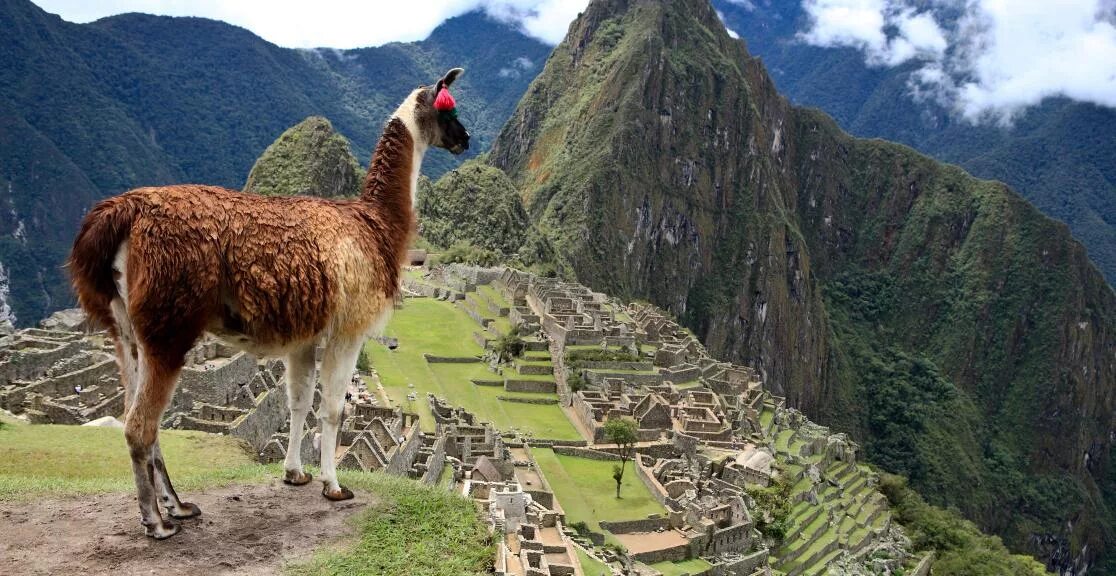 Llama architecture model