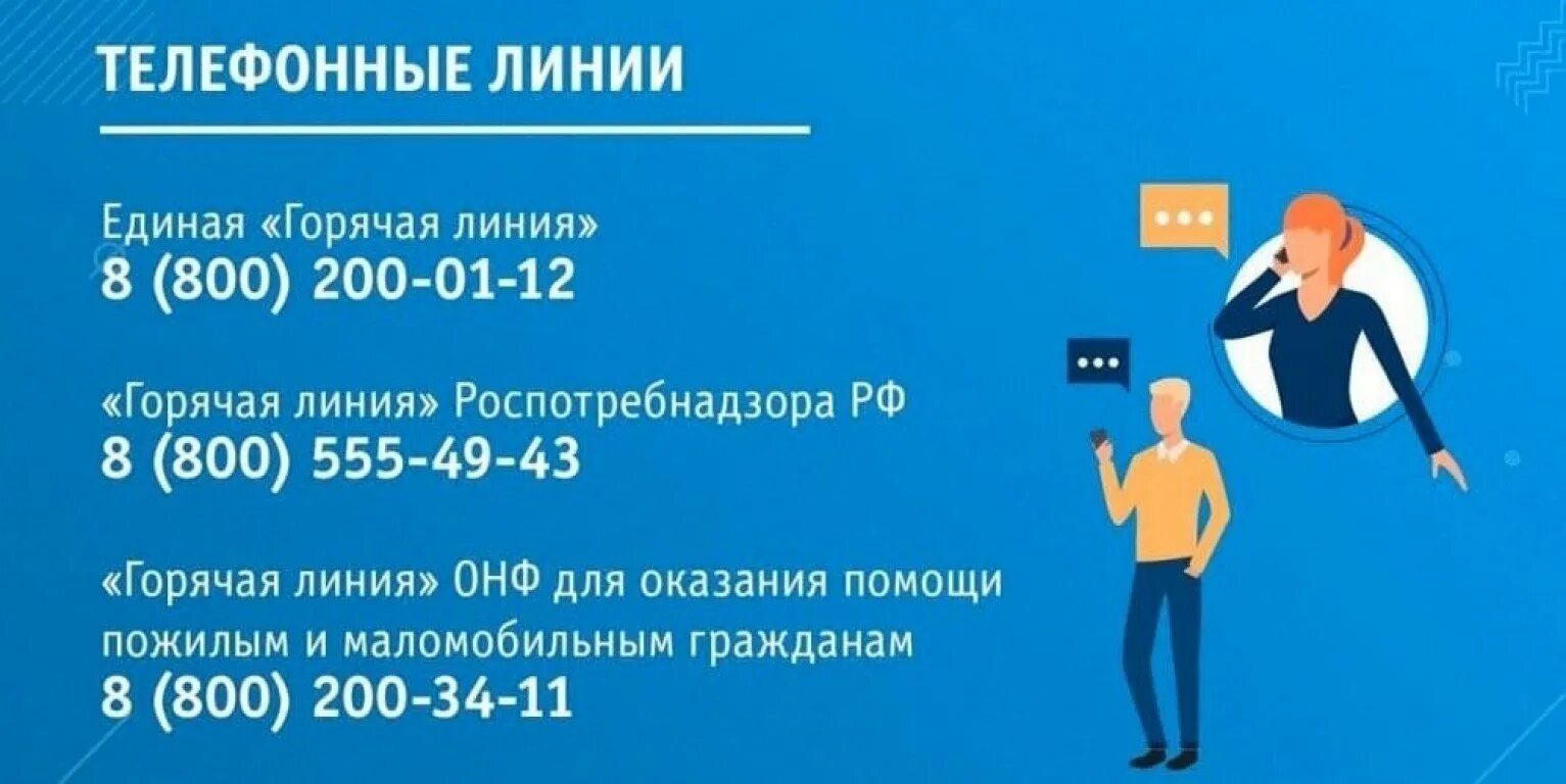 8 800 начинается. Народный фронт горячая линия. Горячая линия. Единая горячая линия. Народный фронт России горячая линия.