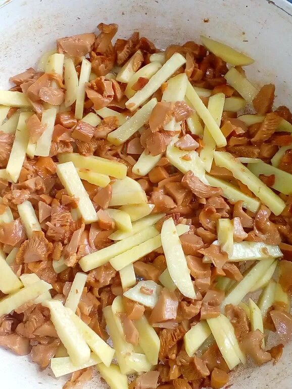 Картошка с лисичками на сковороде со сметаной. Картошка с грибами на сковороде со сметаной. Картофель с лисичками. Картошка с грибами в сметане. Жареные лисички в сметане.