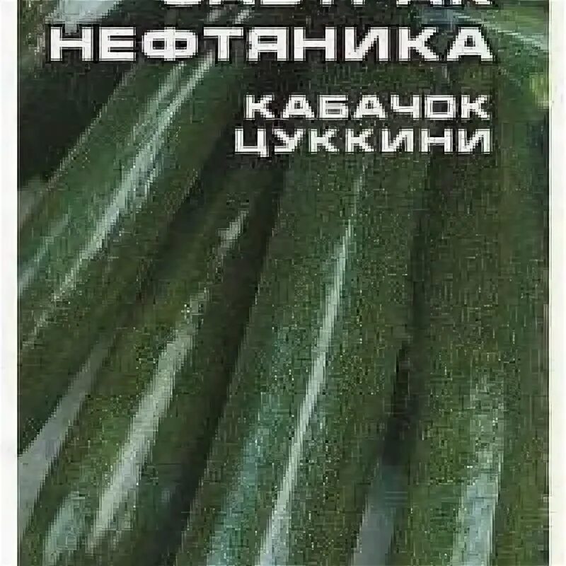 Кабачок цуккини Завтрак нефтяника. Краткий обзор, описание характеристик cucurbi