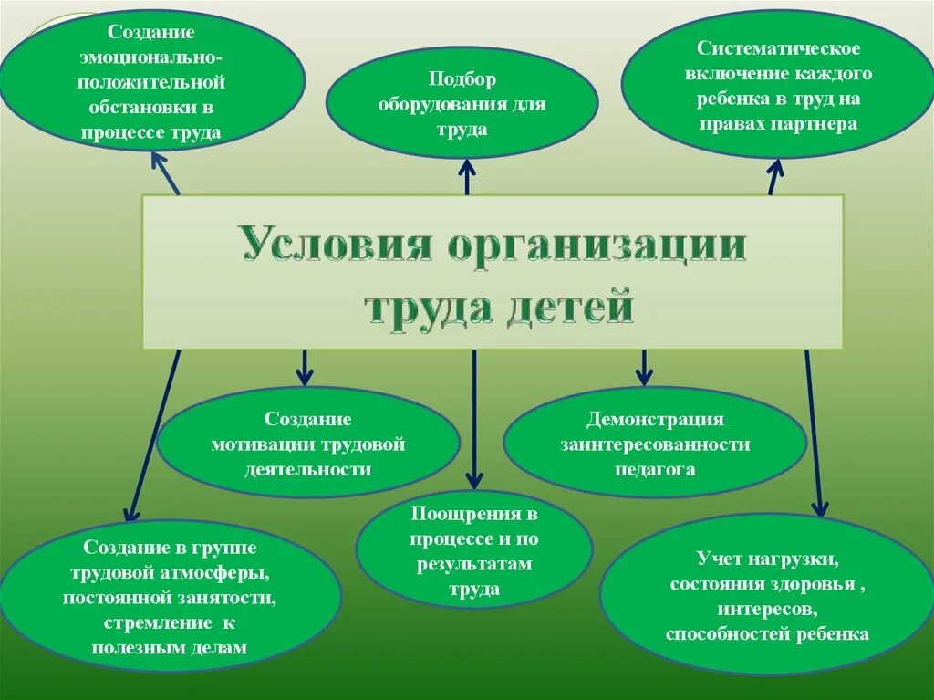 Перечислите трудовые группы. Условия организации труда детей в ДОУ. Условия организации труда в ДОУ. Условия успешной организации труда детей в ДОУ. Условия организации трудового воспитания.