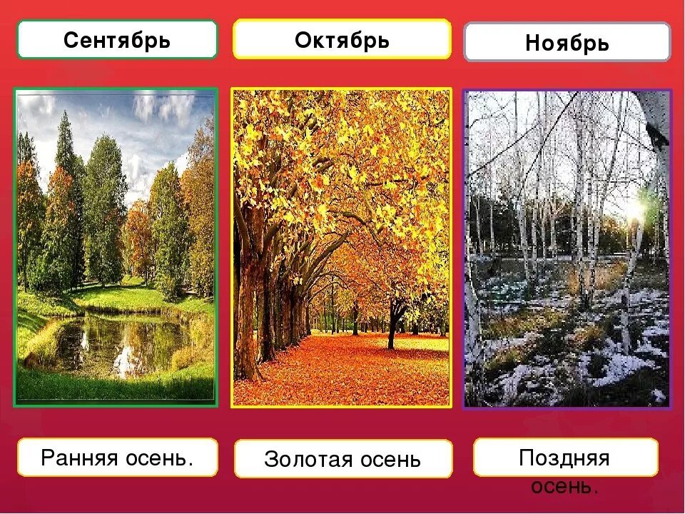 3 месяца сентябрь октябрь ноябрь