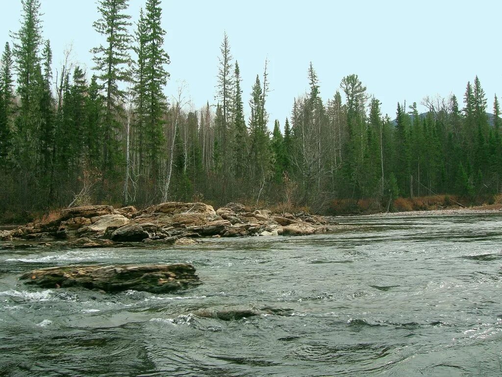 Погода кунерма. Озеро Кунерма. Река Кунерма. Река Кунерма Иркутская область. Кунерминские озера Казачинско Ленский район.